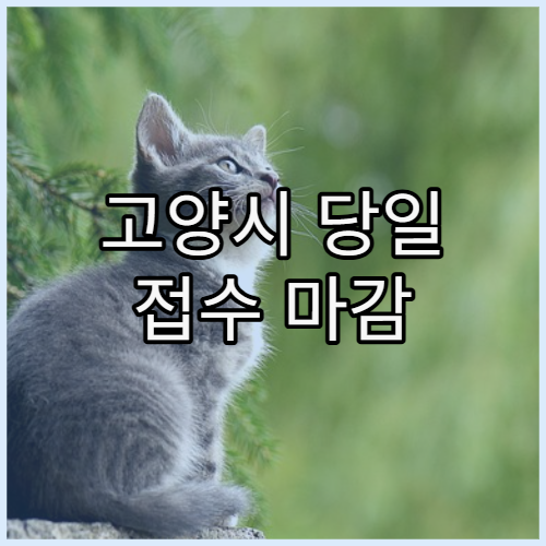 고양시 당일 접수 마감 전 방문 가능한 병원