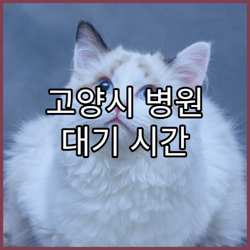 고양시 병원 대기 시간 체감 줄이는 방법