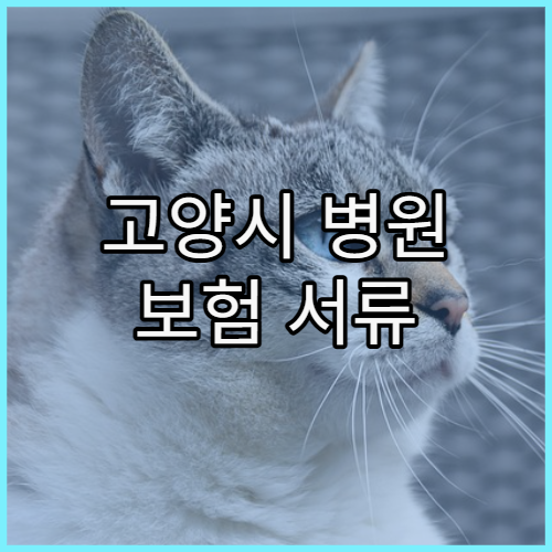 고양시 병원 보험 서류 어디서 받는지 안내