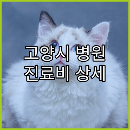 고양시 병원 진료비 상세 내역 확인 방법