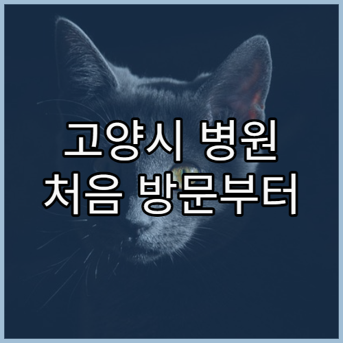 고양시 병원 처음 방문부터 재진까지 한 번에 정리