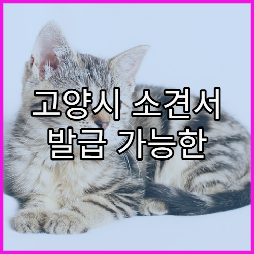 고양시 소견서 발급 가능한 경우와 주의사항