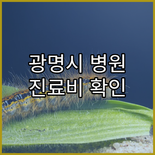 광명시 병원 진료비 확인 시 자주 생기는 질문