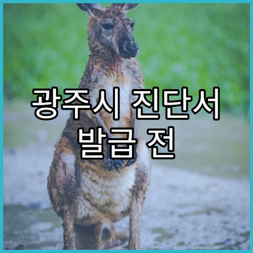 광주시 진단서 발급 전 꼭 확인해야 할 점