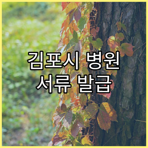 김포시 병원 서류 발급 때문에 재방문 줄이는 방법