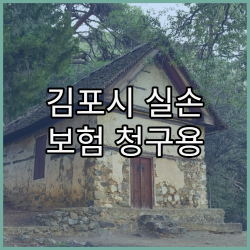 김포시 실손 보험 청구용 병원 서류 정리