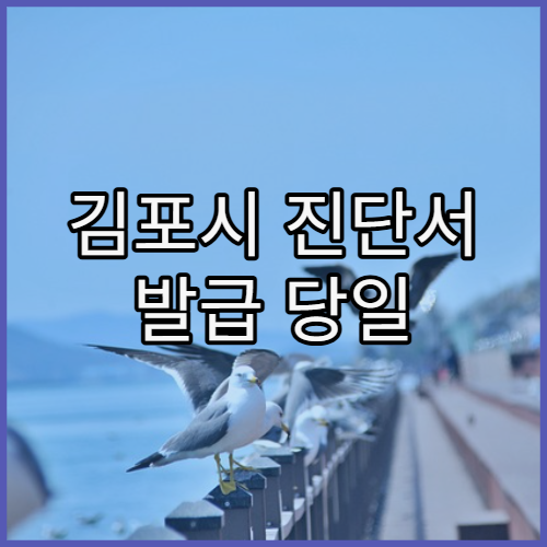김포시 진단서 발급 당일 가능한 병원