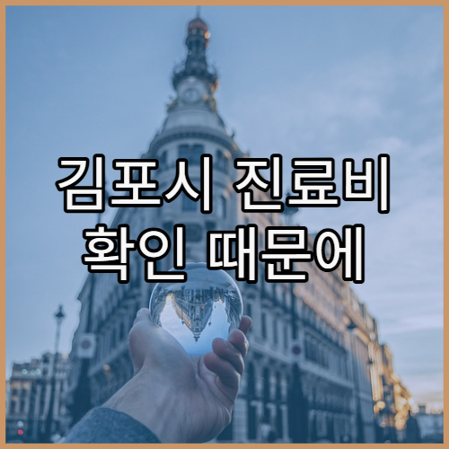 김포시 진료비 확인 때문에 병원 다시 갈 필요 있을까