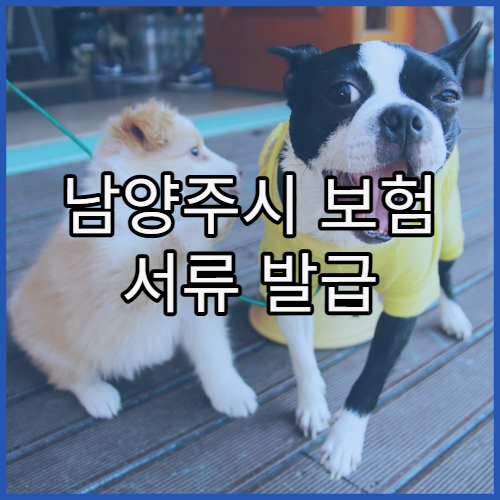 남양주시 보험 서류 발급 시 수수료 정리