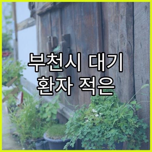 부천시 대기 환자 적은 병원 선택 요령