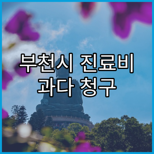 부천시 진료비 과다 청구 아닌지 확인하는 기준