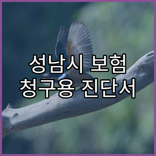 성남시 보험 청구용 진단서 발급 절차