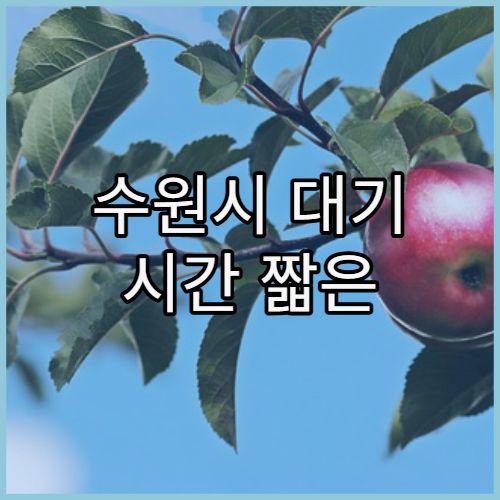 수원시 대기 시간 짧은 병원 고르는 방법