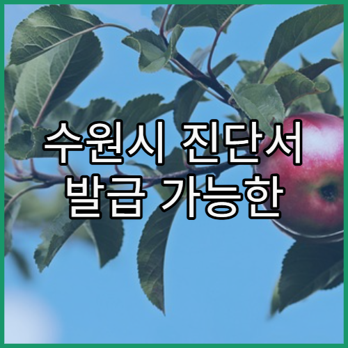 수원시 진단서 발급 가능한 병원 이용 방법