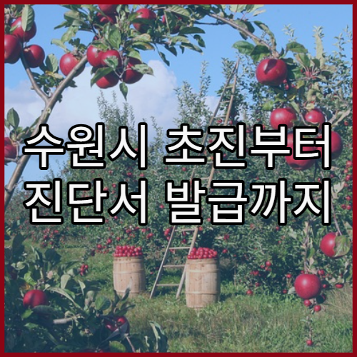 수원시 초진부터 진단서 발급까지 병원 이용 흐름 정리