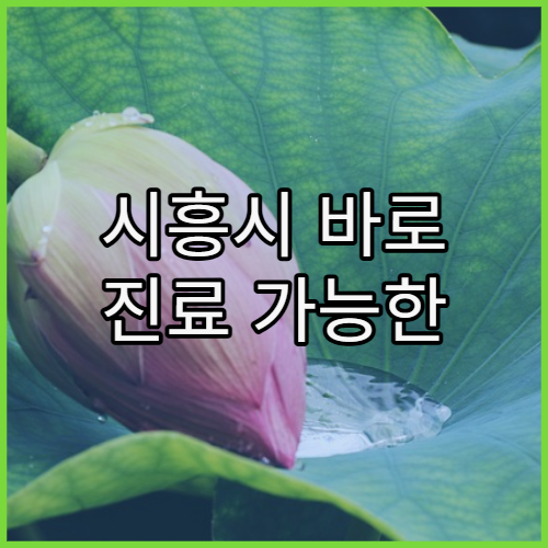 시흥시 바로 진료 가능한 병원 판단 기준