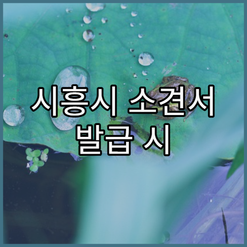 시흥시 소견서 발급 시 재진 필요한지 여부