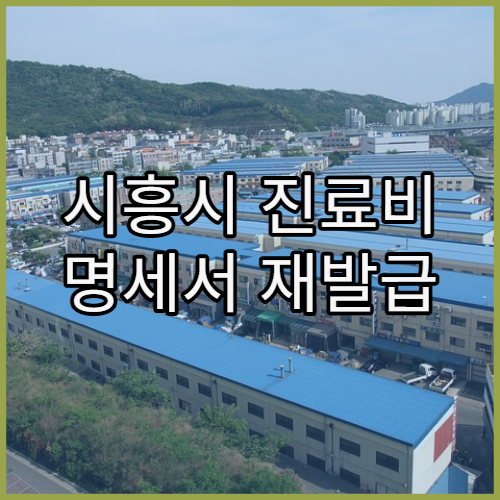 시흥시 진료비 명세서 재발급 가능한지 정리
