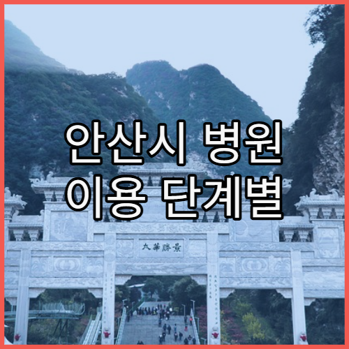 안산시 병원 이용 단계별 정리 가이드