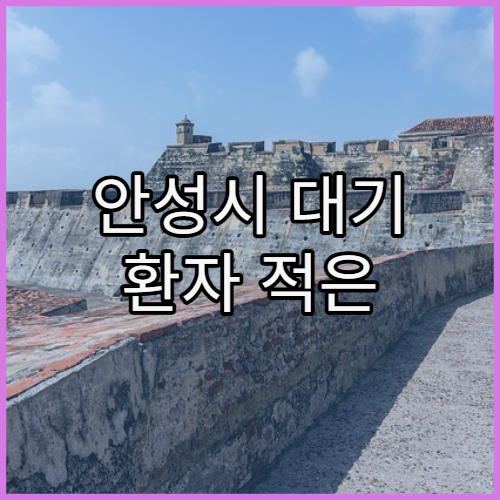 안성시 대기 환자 적은 병원 고르는 법