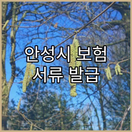 안성시 보험 서류 발급 가능한 병원 이용법