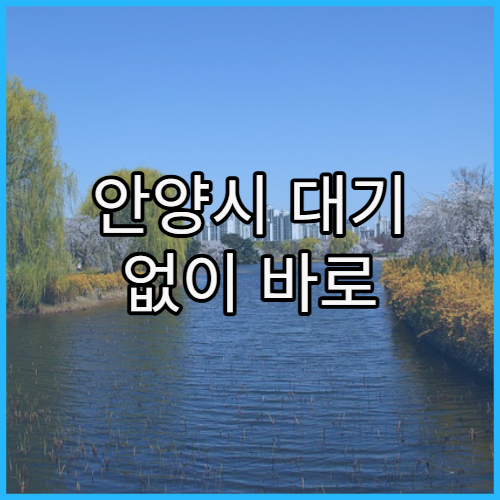 안양시 대기 없이 바로 진료 가능한 병원 유형