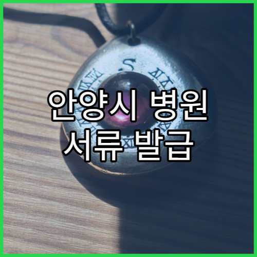 안양시 병원 서류 발급 때문에 재방문 필요한 경우