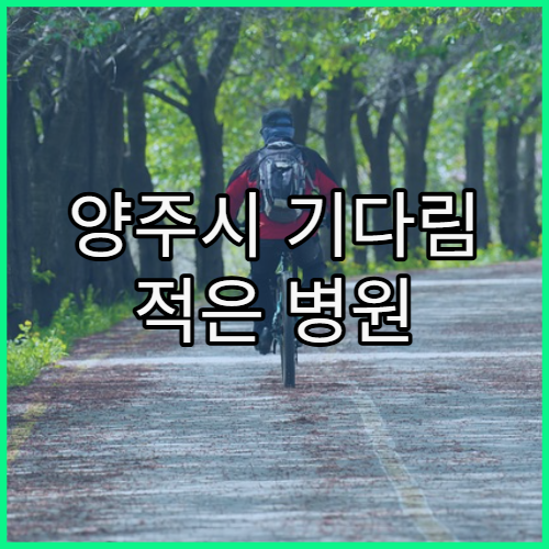 양주시 기다림 적은 병원 이용 팁 정리