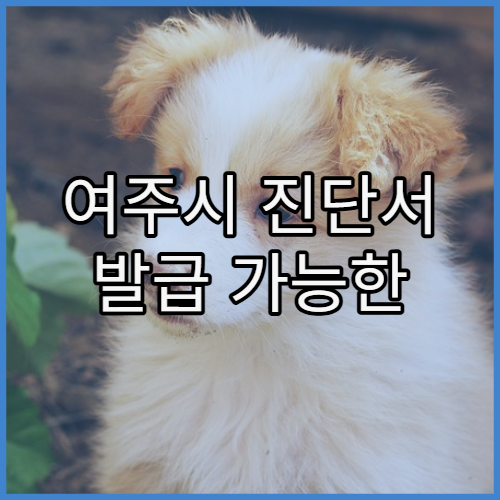 여주시 진단서 발급 가능한 병원 절차 정리