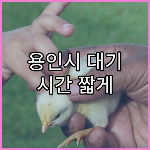 용인시 대기 시간 짧게 진료받는 병원 이용 팁