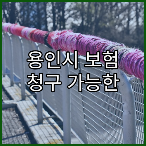 용인시 보험 청구 가능한 병원 서류 정리