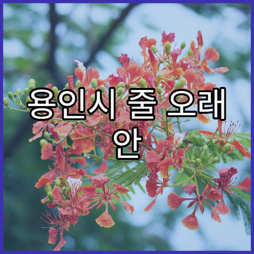 용인시 줄 오래 안 서는 병원 찾는 기준