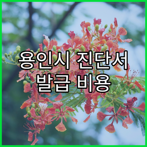 용인시 진단서 발급 비용 기준 정리