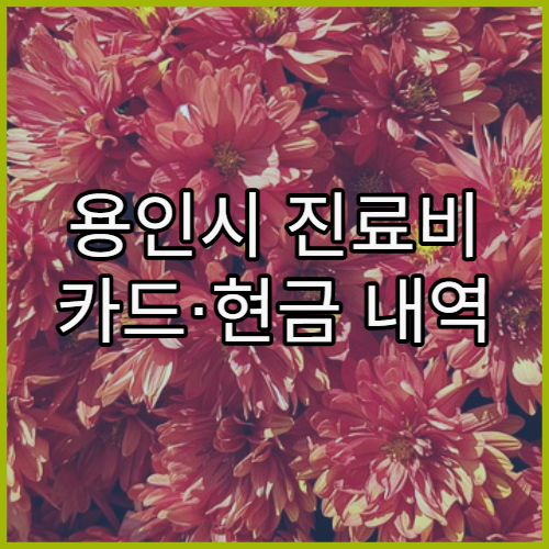 용인시 진료비 카드·현금 내역 확인하는 법