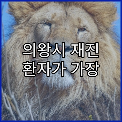 의왕시 재진 환자가 가장 많이 헷갈리는 부분