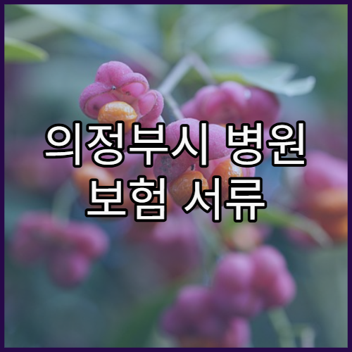의정부시 병원 보험 서류 발급 시 주의사항