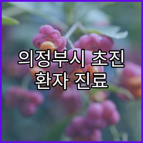 의정부시 초진 환자 진료 가능 병원 확인법