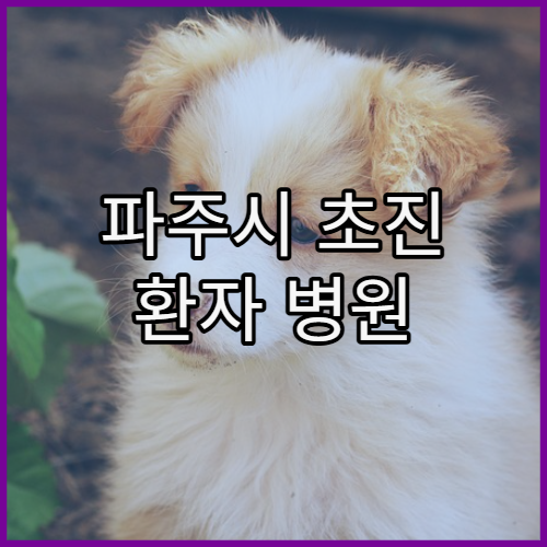 파주시 초진 환자 병원 방문 전 확인할 점